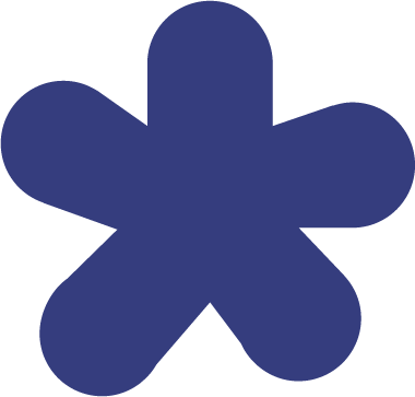blossom design studio asterisk asset